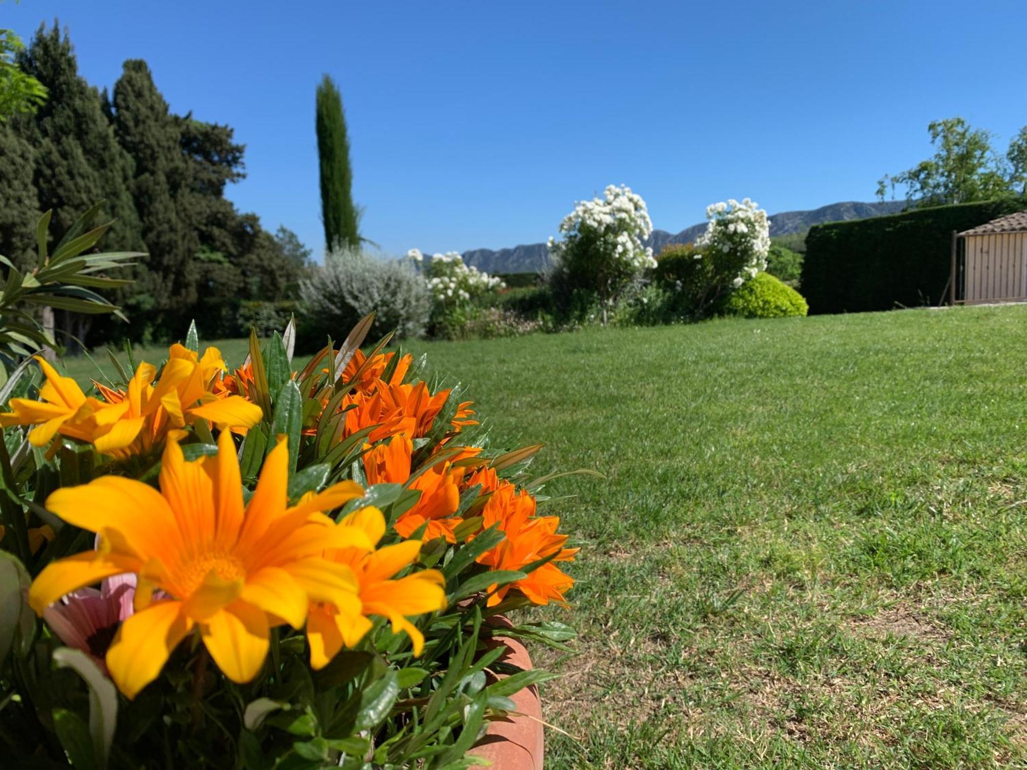 En Provence, Chez Stephanie Et Marcel Saint-Remy-de-Provence Bagian luar foto