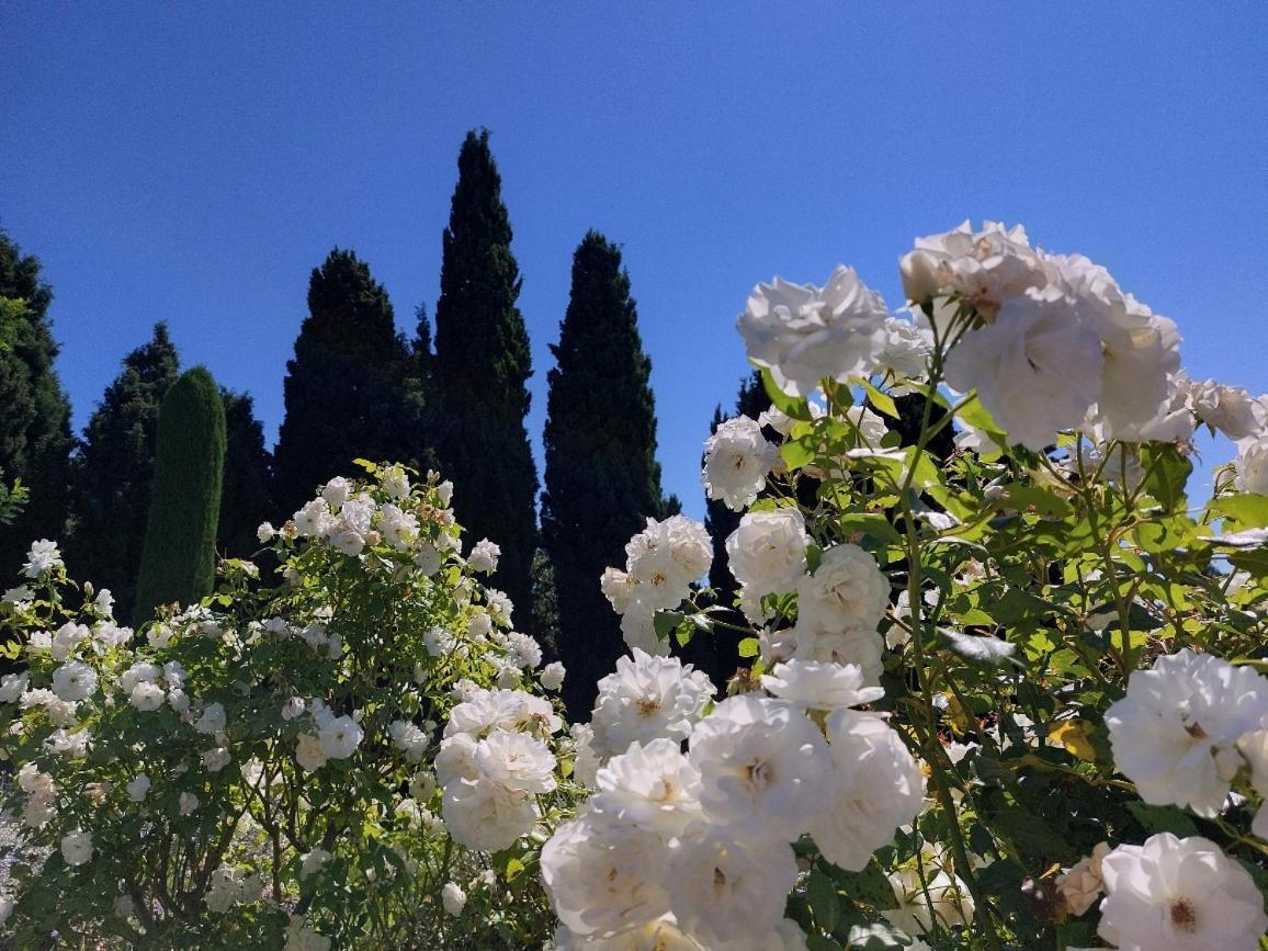 En Provence, Chez Stephanie Et Marcel Saint-Remy-de-Provence Bagian luar foto