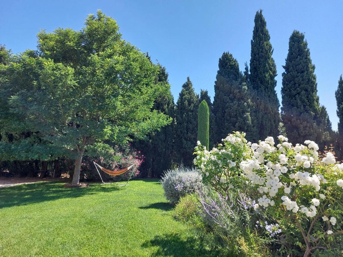 En Provence, Chez Stephanie Et Marcel Saint-Remy-de-Provence Bagian luar foto